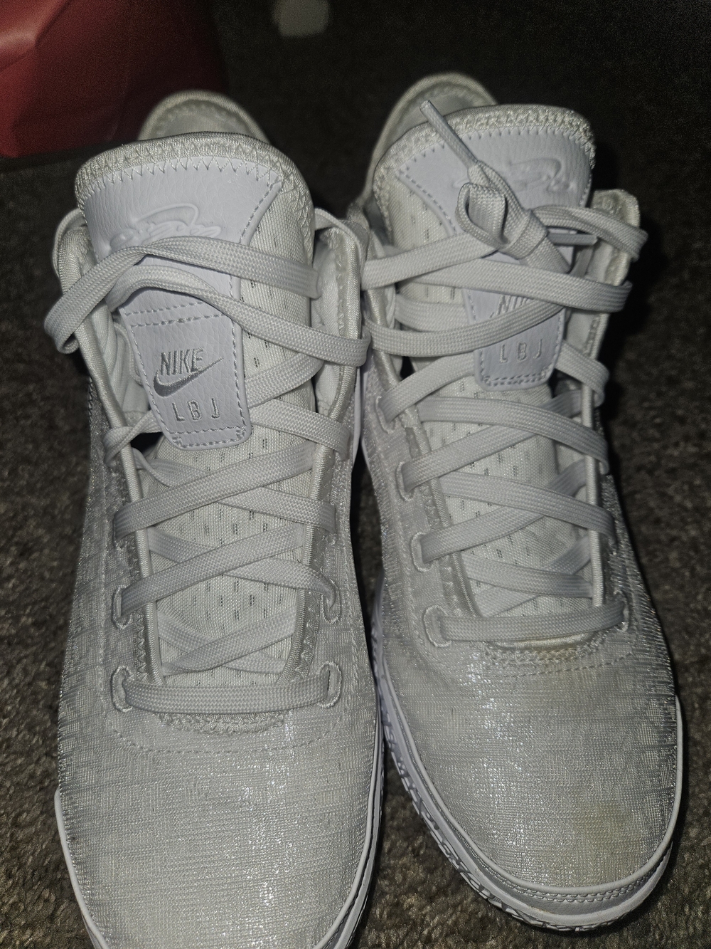Nike LeBron NXXT Gen Basketball Shoes – White / Metallic Silver (Size US 9)